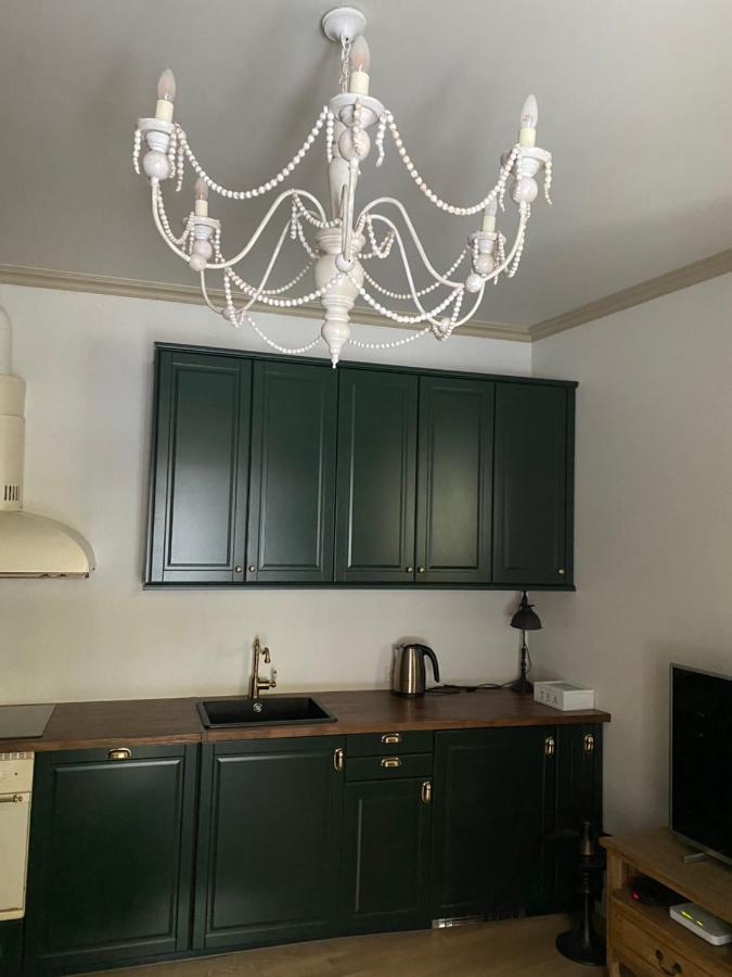 Exclusive Gaono Apartment In The Heart Of Old Town 빌뉴스 외부 사진